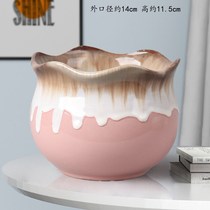 Flower pot flush handling special price deficit multi-meat flower pot big number old pile special price clear cabin creative personality brief