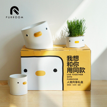 PURROOM Person Pample-sharing Gift Box Ceramic Kitten Bowl of Courtesy Pet Bowl Pitched Lip plus High Mark Cup