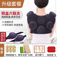 Плековое плечо шесть союза +6 медная коробка+54 Капитал AI AI Pillar+диаграмма Acupoint+теплоизоляция