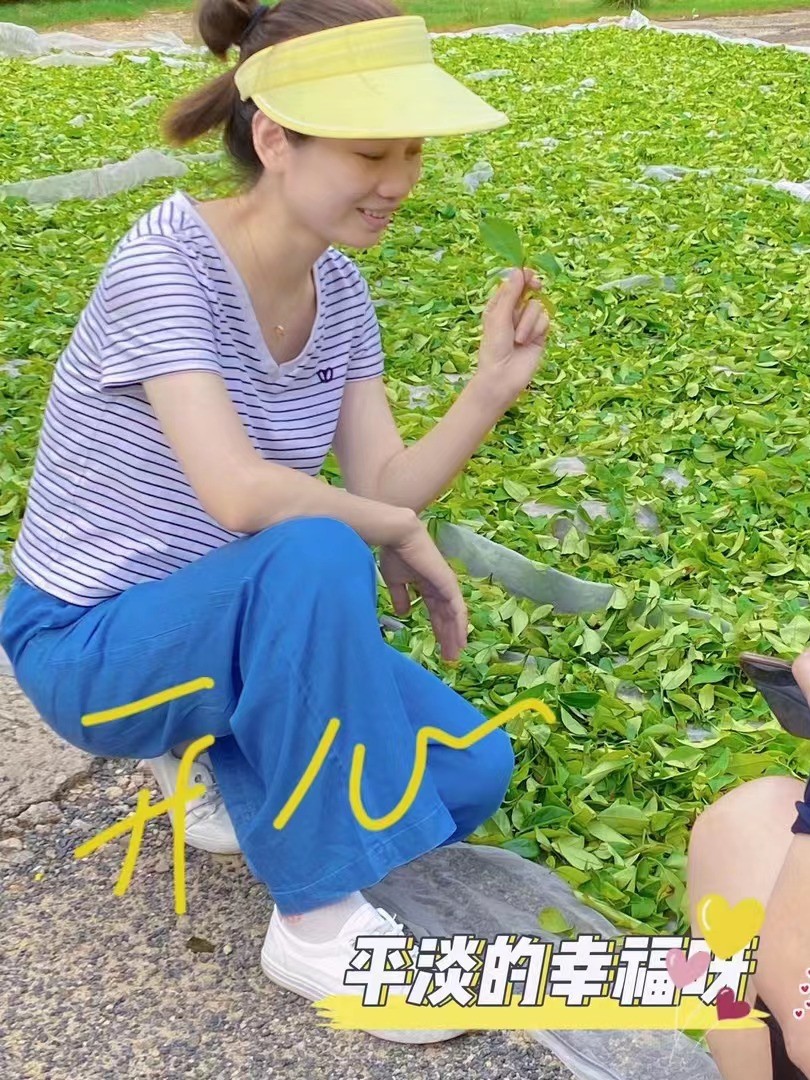 单丛茶小娜 专做凤凰单丛 源头厂家