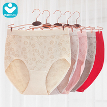 Mother Briefs Female Pure Cotton High Waist Large Code Triangular Underpants Mulberry Silk Antibacterial Crotch Middle Aged Loose Shorts Head