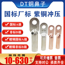 Tin - plated copper terminal copper nose 10 16 25 35 50 70 DT copper wire ear standard non - standard