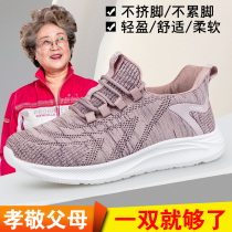 Foot strength walking shoes elderly shoes womens spring and autumn mesh middle-aged and elderly mother sports shoes old Beijing cloth shoes new