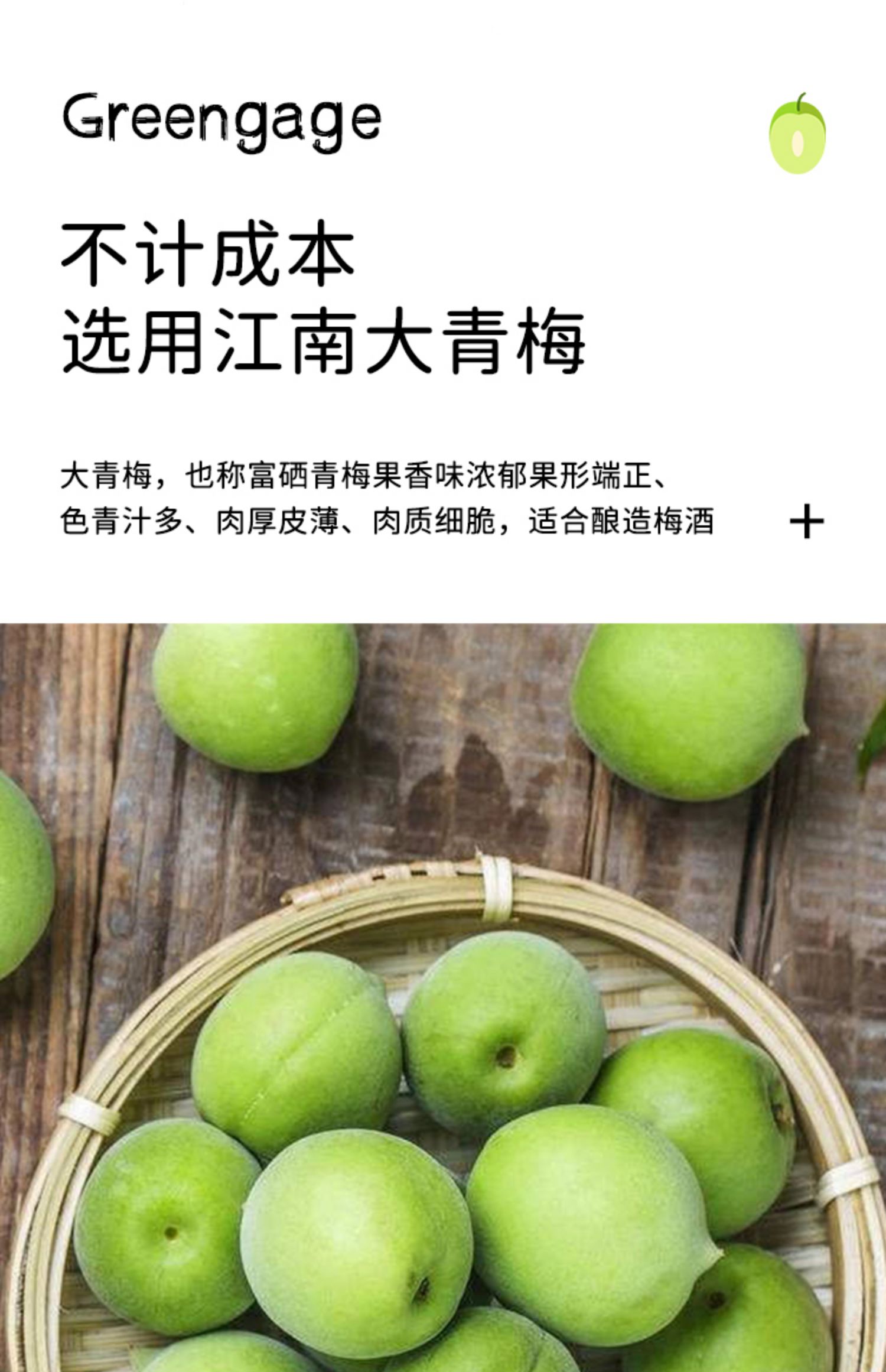 梅是青梅酒梅子酒10度150ml果酒
