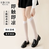 White stockings pure desire tall calf socks women summer thin jk mid-calf socks slimming micro-pressure elastic knee socks