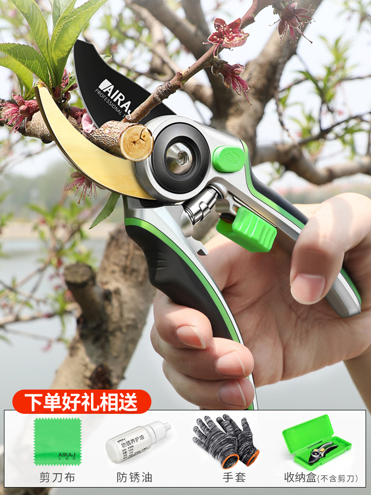 Scissors Pruning shears Gardening garden Japanese steel pruning Fruit tree branches thick branches Flower branches Floral picking fruit artifact