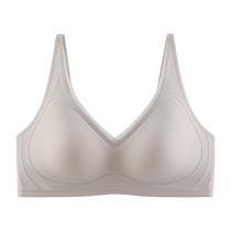 Catman Underwear Womens Push-Up Anti-sagging and Secondary Breast Reduction 2024 Autumn and Winter New Hot Style Full Cup Bra