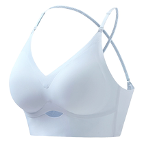 Catman U-shaped beautiful back underwear for women 2024 new push-up stylish sweet and pure lusty wind-shrinking bra