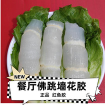 Flower Gum Frozen Red Fish Glue Stew Soup Buddha Jumping Wall Golden Broth Rubber Chicken For Hotel Restaurant Pot special 500g