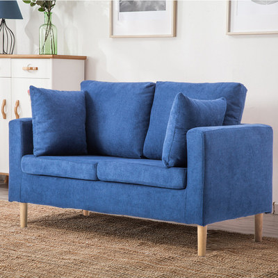 ins fabric sofa small apartment living room modern minimalist rental apartment homestay single clothing store small sofa