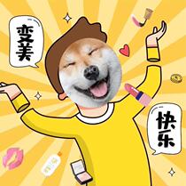 The sisters come in to see the various middle and small samples to try and buy a proper refit and not waste 