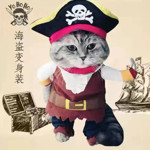 Смешные пираты превращаются в вертикальные собаки и одежду для домашних животных Тедди Бибельбайгер Шиба Ину Корги маленькая собака