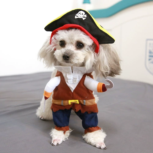Смешные пираты превращаются в вертикальные собаки и одежду для домашних животных Тедди Бибельбайгер Шиба Ину Корги маленькая собака