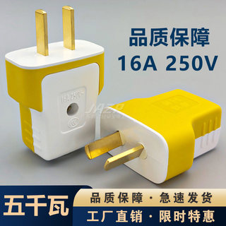 5000W high power one-piece pure copper two-pin plug