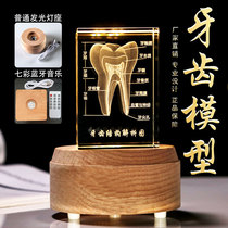 Crystal 3D Inner Carved Tooth Model Custom Dentistry Dentist Oral Department Hospital Medical Student Memorial Gift Pendulum