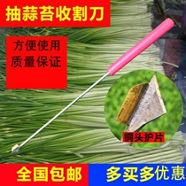 Garlic moss harvesting knife to draw garlic sprouts tools garlic Moss garlic sprouts knives garlic sprouts knives