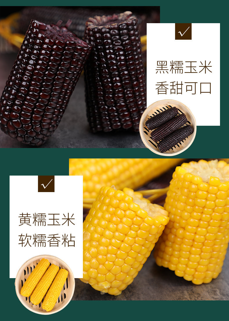 【有机食品】东北甜糯香玉米10支