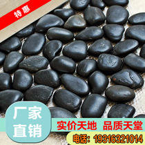 Jiangsu Natural Little Black Stone Pebble Garden Fish Bowl Decorated with Stone Laid Decoration Garden