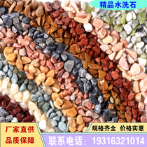 Fujian washed rice stone terrazzo washed stone small pebbles permeable road adhesive stone courtyard aggregate water brushed stone stone rice grains