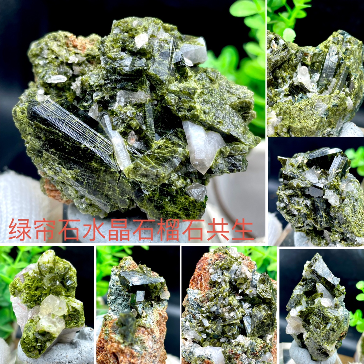天然樹木形の緑色緑簾石標本 鉱物標本 / 緑簾石 | 地質標本鑑賞会