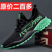 【Одна пара притворства】 n500 green