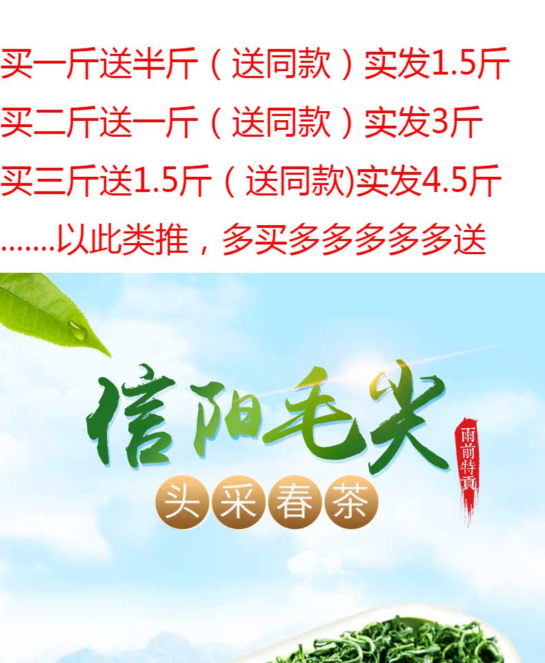 【来茗祥】2021新茶信阳毛尖绿茶