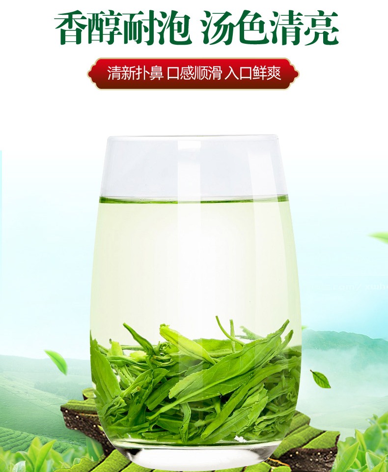 【来茗祥】2021新茶信阳毛尖绿茶