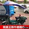 Electric Cargo Bike with Sunshade and Rain Cover for Men