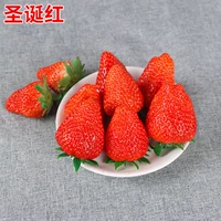 500 капсул рождественской красной клубники+горшок+земля+удобрения (купить 2