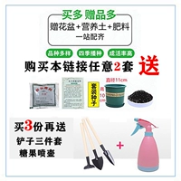 Примечание/купить два получите один, один, один, один, один, один, три получают бесплатный -наводящий горшок+лопат три