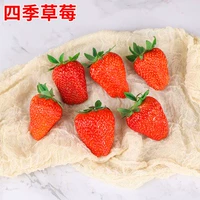 Four Seasons 500 зерна+горшки+почва+удобрения (купить 2 получить 1 бесплатно 1