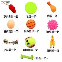 (Ten-piece set) Pet toys dog and cat toys sound-making playable relieving boredom chewing toy bone ball set