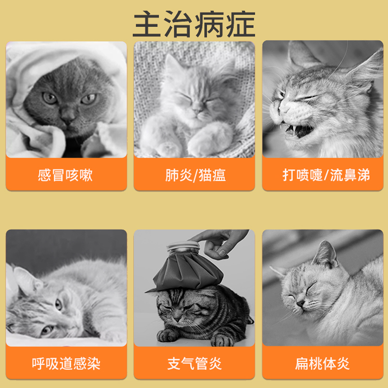 赛倍思多西环素：宠物猫咪狗狗感冒咳嗽的守护神？