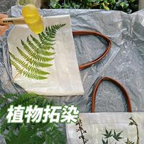 Plant rubbing knocking hammer kindergarten children diy grass and wood rubbing material package alum color fixing agent