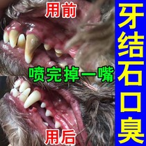 Dog calculus remover dissolves calculus quick-acting softener pet mouth deodorant oral cleaning mouthwash