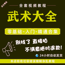 Martial Arts New Video Tutorial All Resources Wing Spring Karate Taekwondo Taekwondo Street Gofight Set Road Escapades