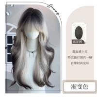 Модель проката [градиент сиамская кошка] отправляет сеть