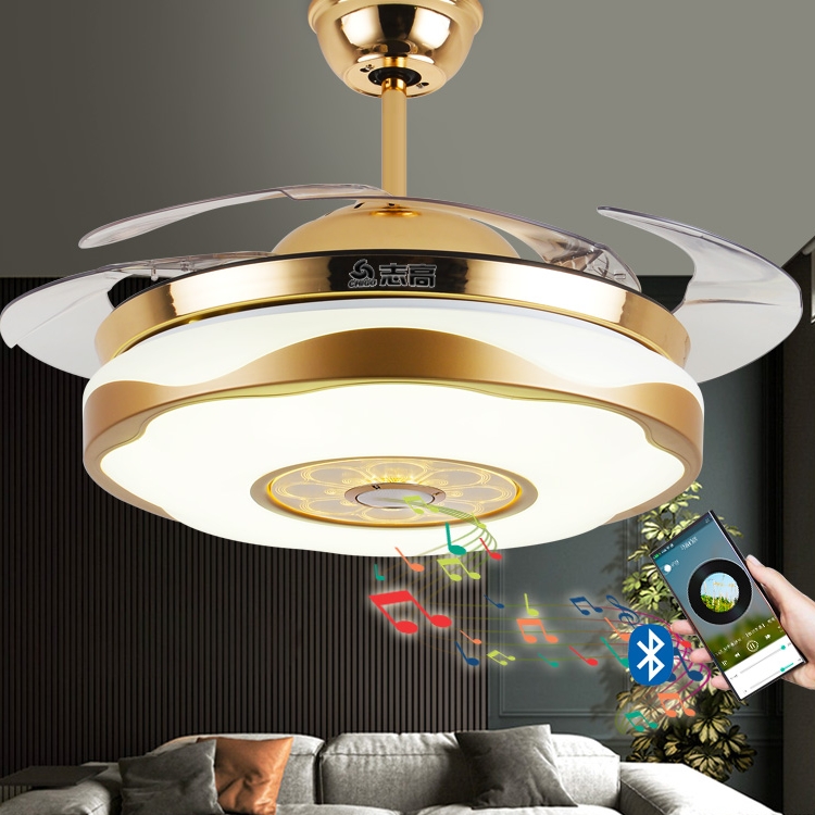 Zhigao Invisible Fan Light Home Living Room Dining Room Dining Room Bluetooth Music Sky Cat Genre Mute Ceiling Fan Light-Taobao