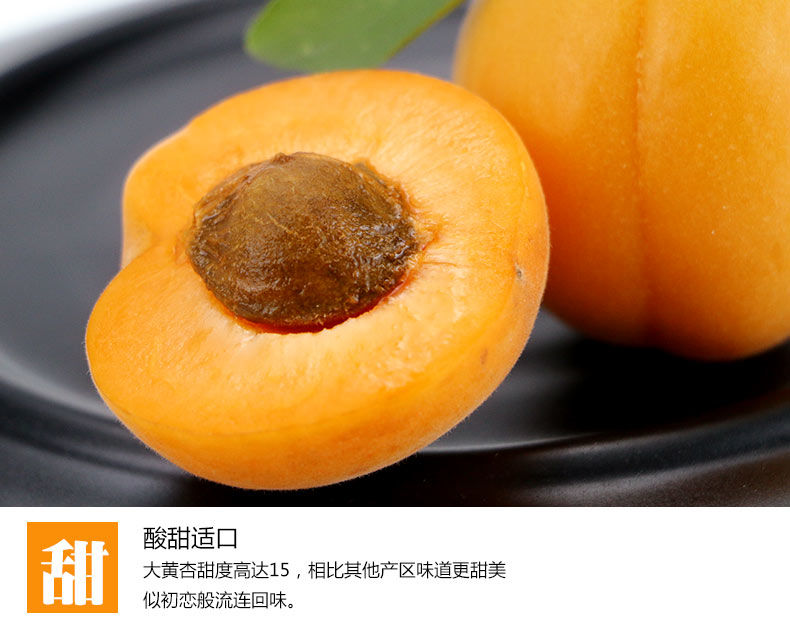 河南灵宝 高山大黄杏 净重5斤 图11
