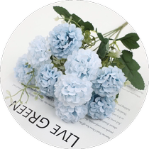 Simulated Juana Hennessy Corner Rose Five-pronged Tea Bud Light European Chrysanthemum Wedding Living Room Decoration Artificial Flower