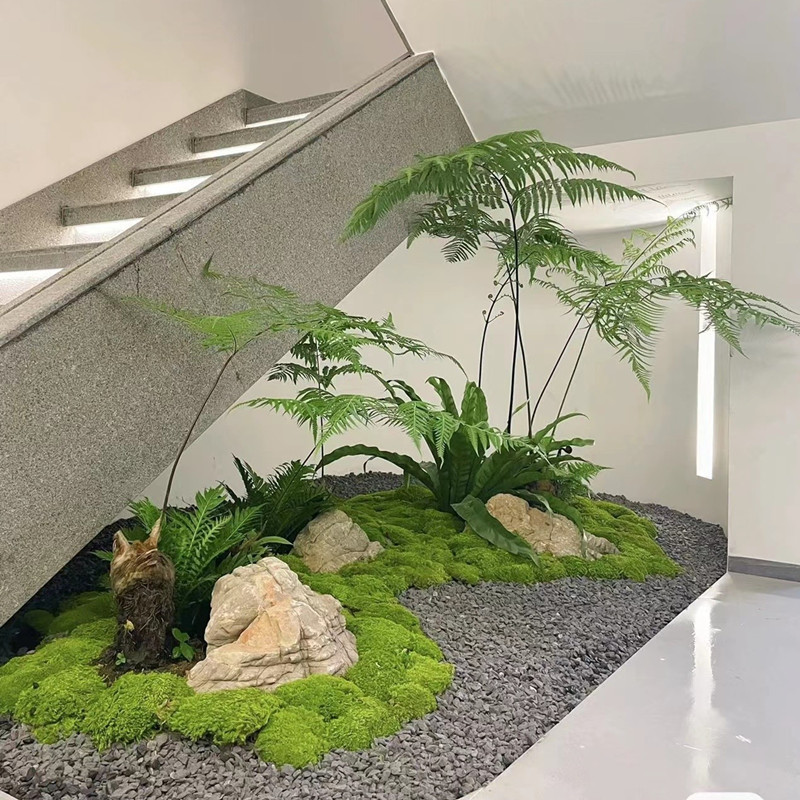 Simulated Golden Monkey Fern Potted Plant, Sycamore Fern, Golden Dog Fern, Chinese-Style Window Display, Zen-Style Ornament