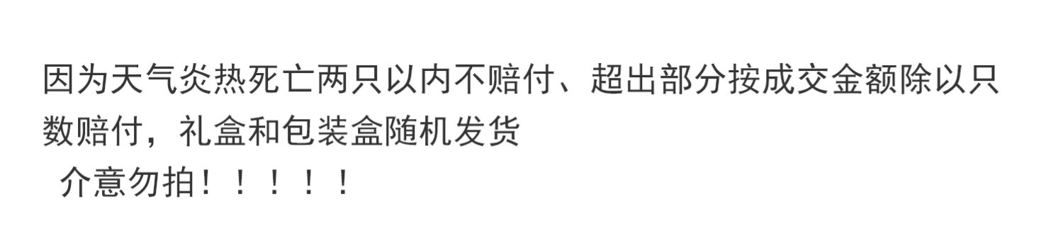 现货10只兴化红膏螃蟹鲜活1.8两大闸蟹