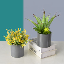 Minimalist creative emulation multi-meat small potted table mini swing pieces home living room plant decorations fake flowers green plant