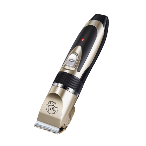 Бритье собаки, питометра