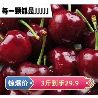 Yantai Great Cherry SFC Fresh Cherry Cherry Fruit Fruit Fruit of Pregnant Women in the Seasonal Pregnant Fruits