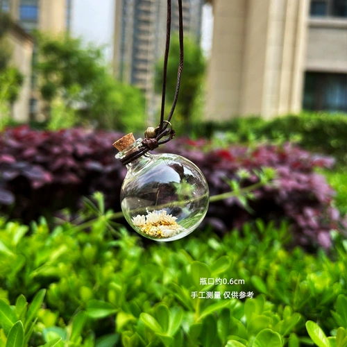 Стеклянная система хранения, золотая прозрачная маленькая бутылка, контейнер для хранения