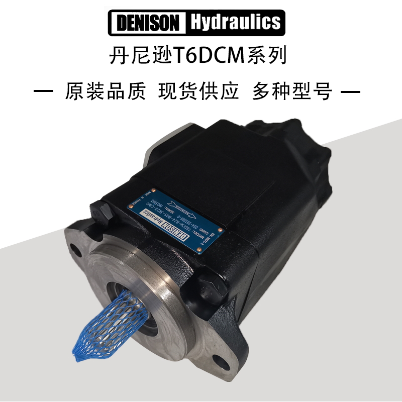 France DENISON Denison high pressure oil pump T6DCM B24 B05 3L13 C1M0 vane pump T6CC