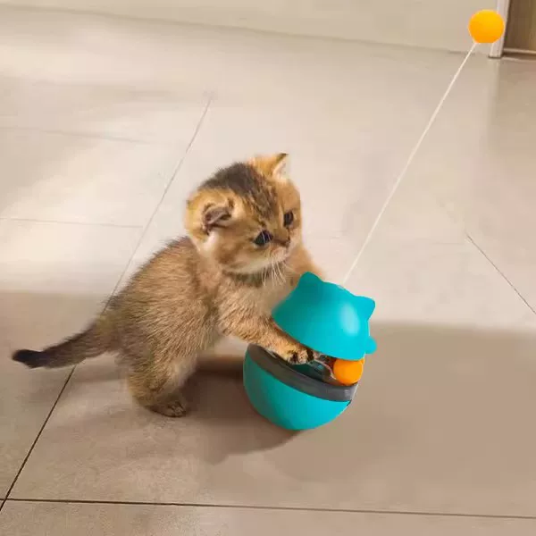 Товары от 心安萌宠