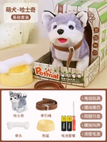 Husky [Color House+Dog Basin+кость+тяговая веревка]