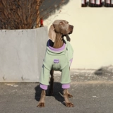 Собачья одежда зима большая собака теплый лабрадор локоть одежда золотой ретривер модный интернет -знаменитый собака Зимняя одежда зимняя одежда